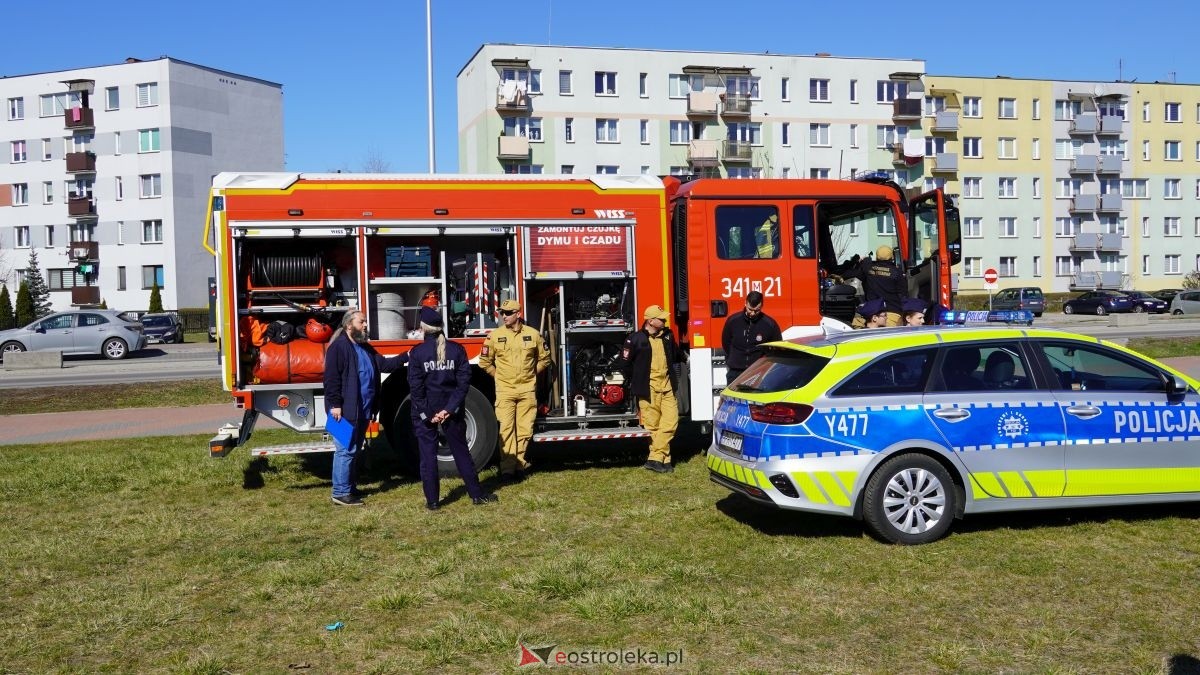 „Galeria Bursztynowa dla autyzmu - rozświetlamy świadomość” [02.04.2026] - zdjęcie #13 - eOstroleka.pl