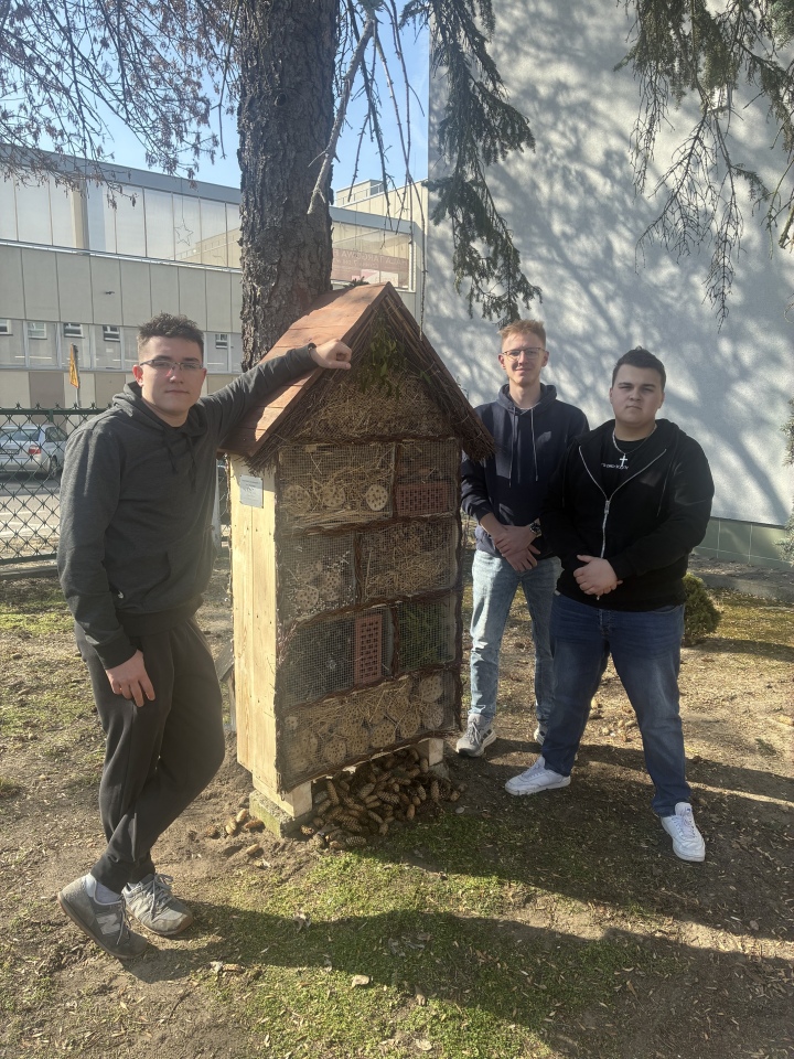 Projekt „Zwolnieni z Teorii – Zielone Offline” [03.04.2026] - zdjęcie #6 - eOstroleka.pl