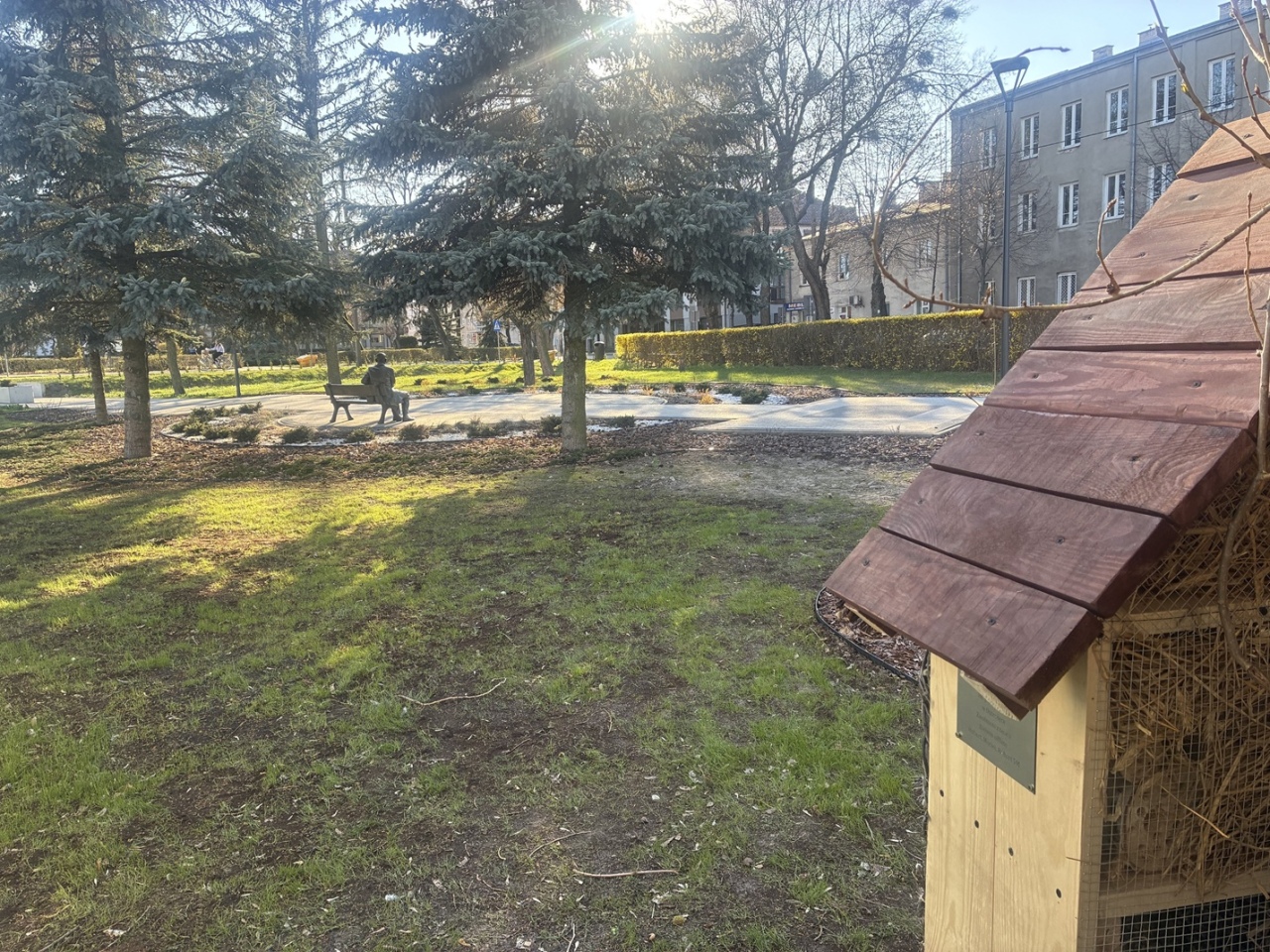 Projekt „Zwolnieni z Teorii – Zielone Offline” [03.04.2026] - zdjęcie #2 - eOstroleka.pl