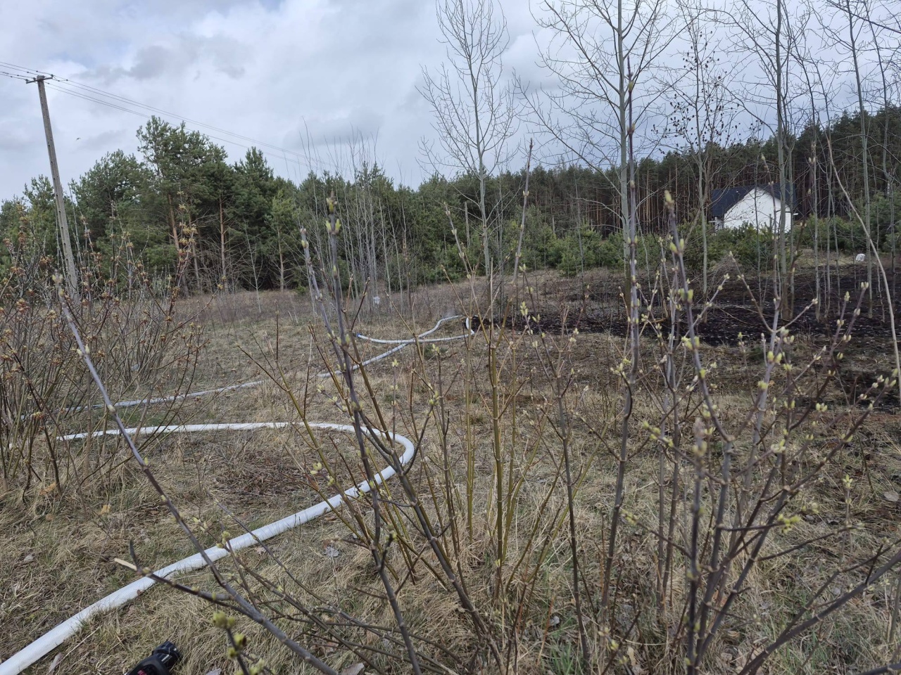 Skutki wichury w Ostrołęce i powiecie ostrołęckim [07.04.2026] - zdjęcie #13 - eOstroleka.pl