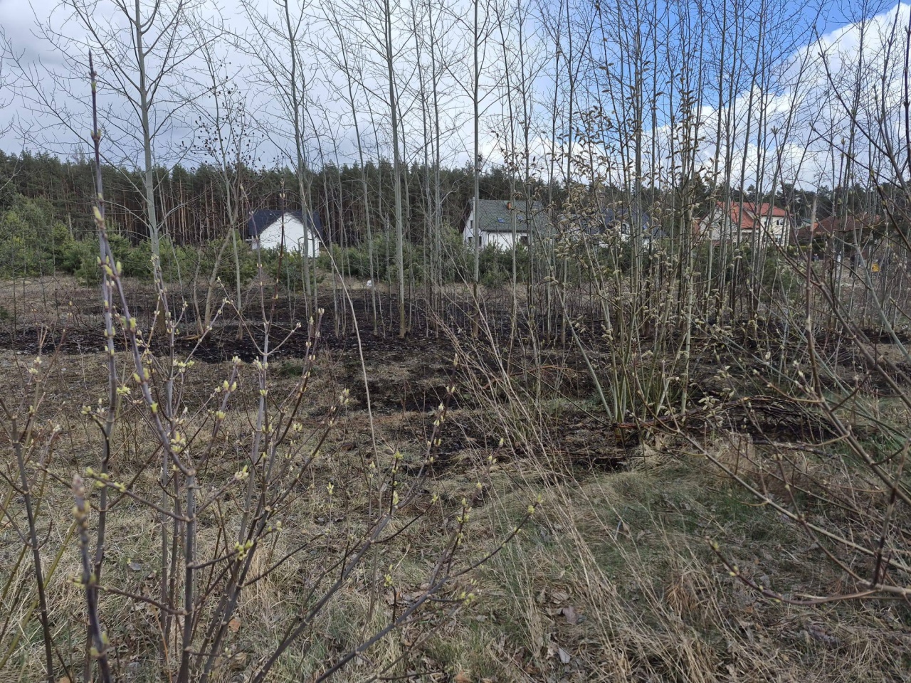 Skutki wichury w Ostrołęce i powiecie ostrołęckim [07.04.2026] - zdjęcie #7 - eOstroleka.pl