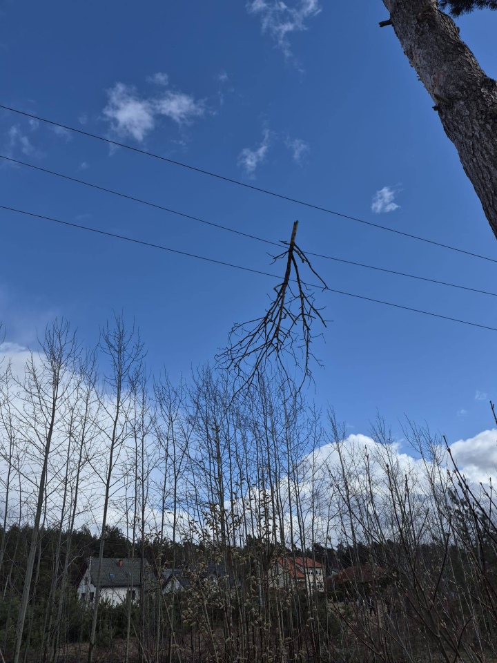 Skutki wichury w Ostrołęce i powiecie ostrołęckim [07.04.2026] - zdjęcie #6 - eOstroleka.pl