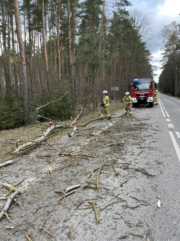Skutki wichury w Ostrołęce i powiecie ostrołęckim [07.04.2026] - zdjęcie #1 - eOstroleka.pl