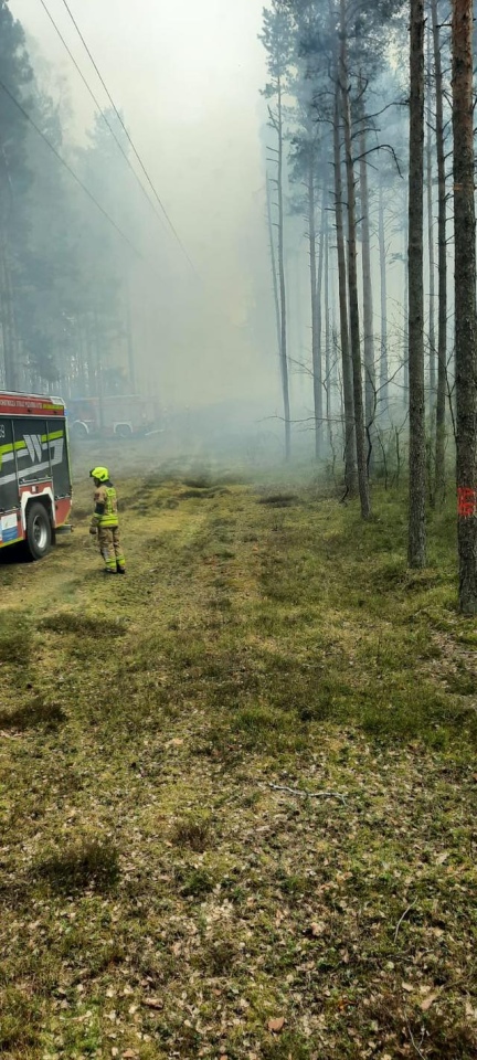 Pożar lasu w miejscowości Tyczek [14.04.2026] - zdjęcie #12 - eOstroleka.pl