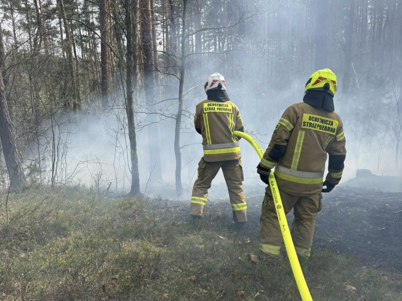 Pożar lasu w miejscowości Tyczek [14.04.2026] - zdjęcie #11 - eOstroleka.pl