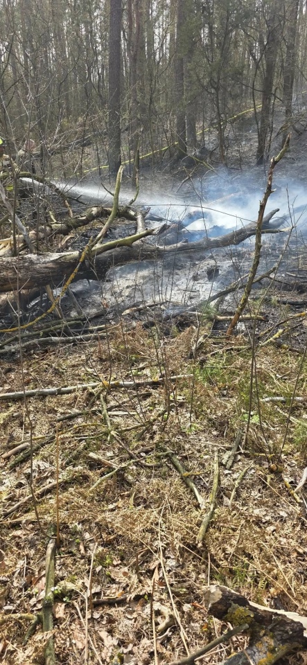 Pożar lasu w miejscowości Tyczek [14.04.2026] - zdjęcie #10 - eOstroleka.pl