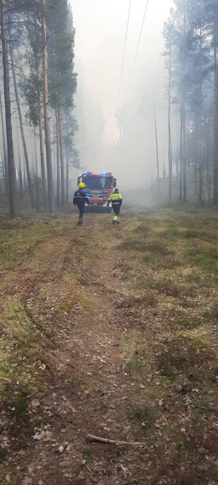 Pożar lasu w miejscowości Tyczek [14.04.2026] - zdjęcie #7 - eOstroleka.pl