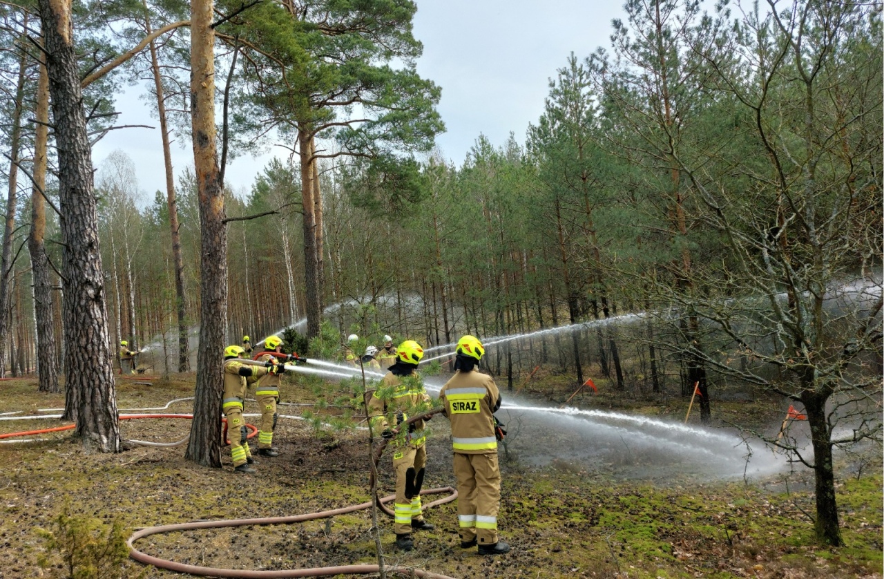 Ćwiczenia straży pożarnej „Las 2026” [14.04.2026] - zdjęcie #8 - eOstroleka.pl