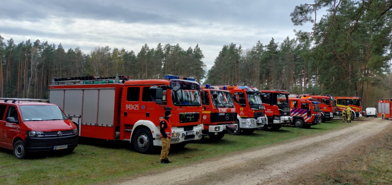 Ćwiczenia straży pożarnej „Las 2026” [14.04.2026] - zdjęcie #7 - eOstroleka.pl