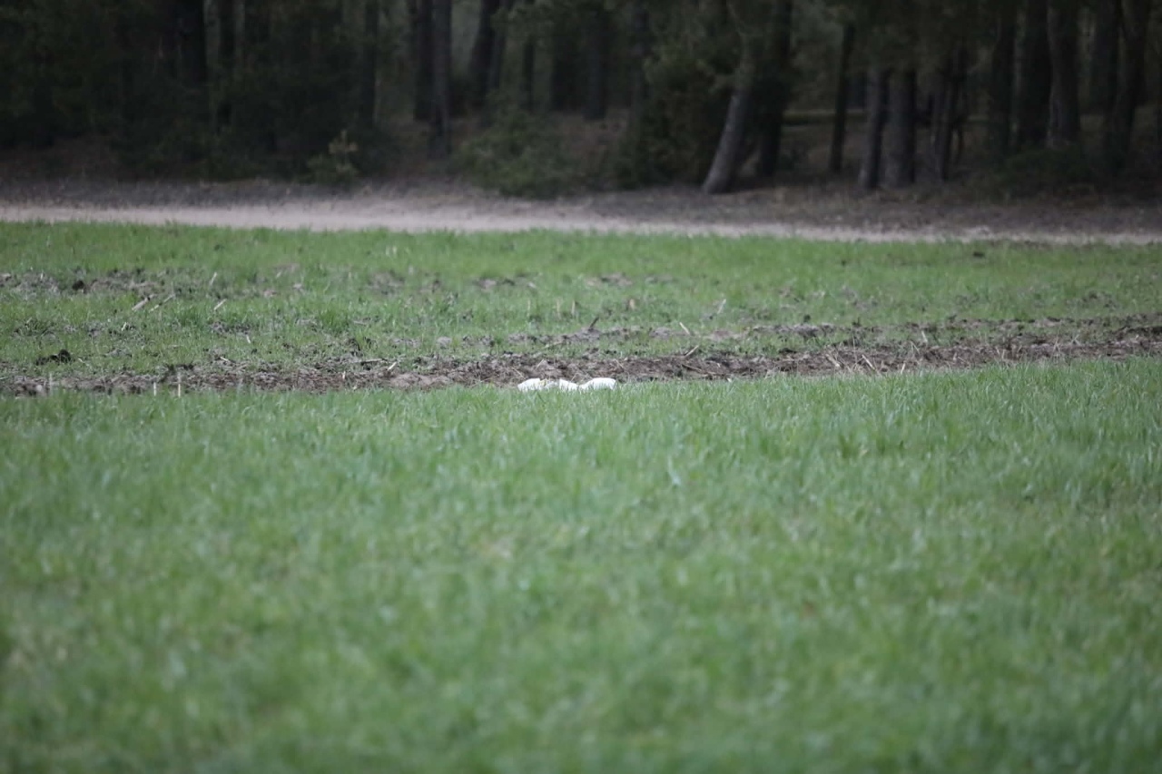 Tajemniczy obiekt spadł z nieba pod Ostrołęką [16.04.2026] - zdjęcie #7 - eOstroleka.pl