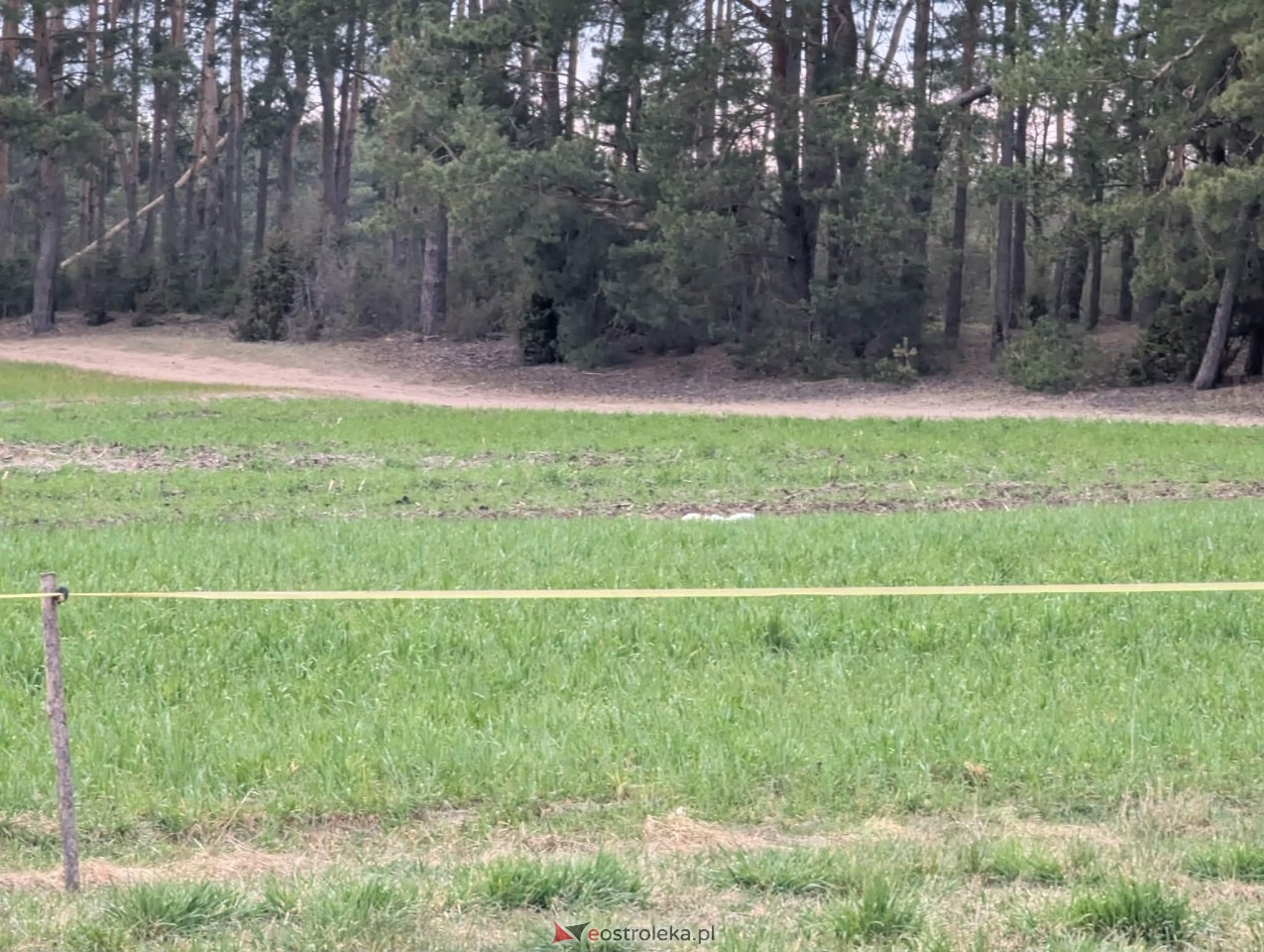 Tajemniczy obiekt spadł z nieba pod Ostrołęką [16.04.2026] - zdjęcie #15 - eOstroleka.pl