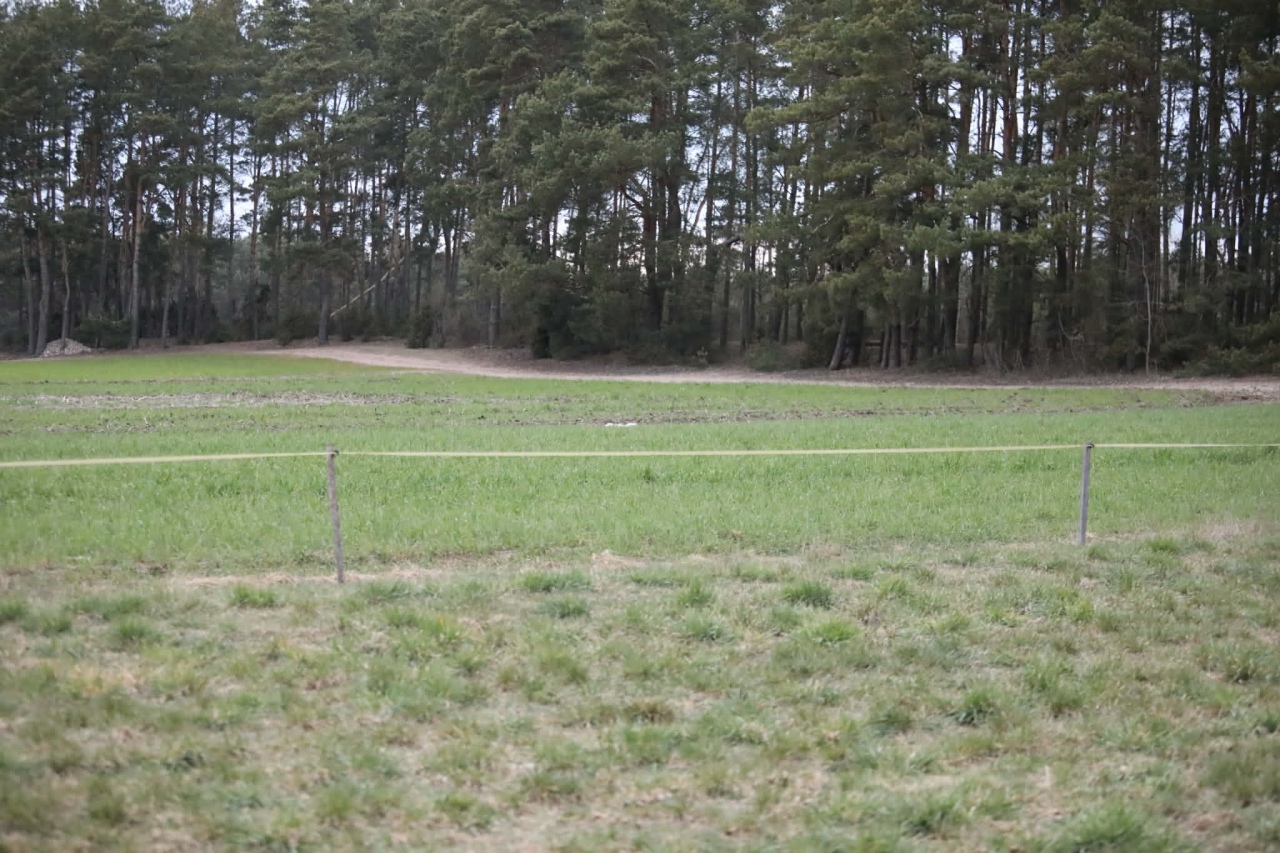 Tajemniczy obiekt spadł z nieba pod Ostrołęką [16.04.2026] - zdjęcie #6 - eOstroleka.pl