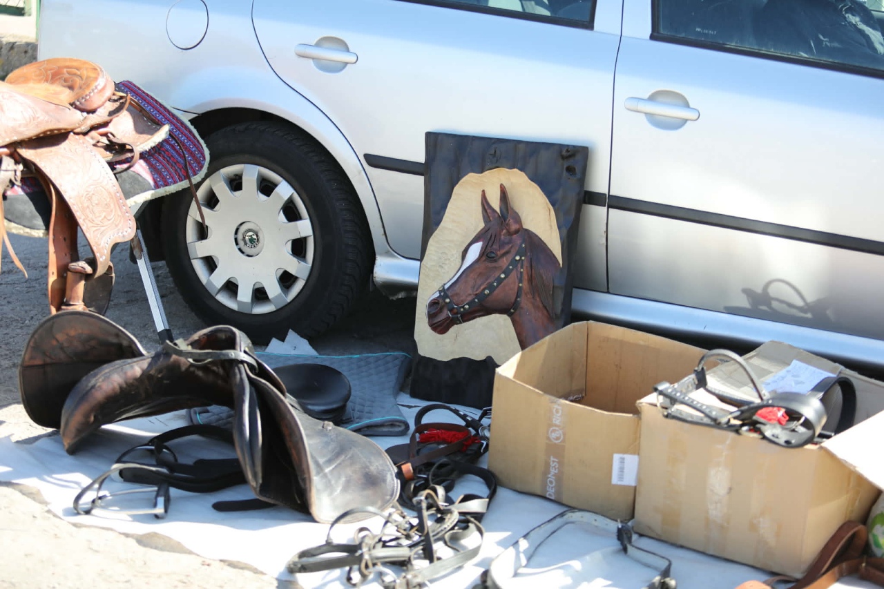 Pchli Targ - start nowej edycji [18.04.2026] - zdjęcie #47 - eOstroleka.pl