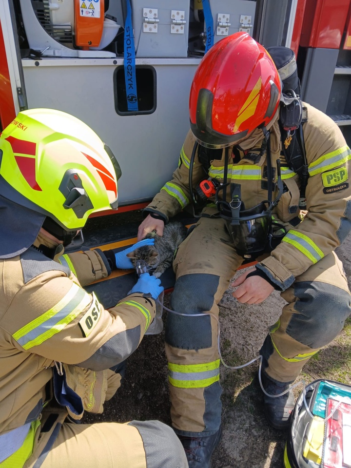 Pożar w Czarnotrzewiu [22.04.2026] - zdjęcie #4 - eOstroleka.pl