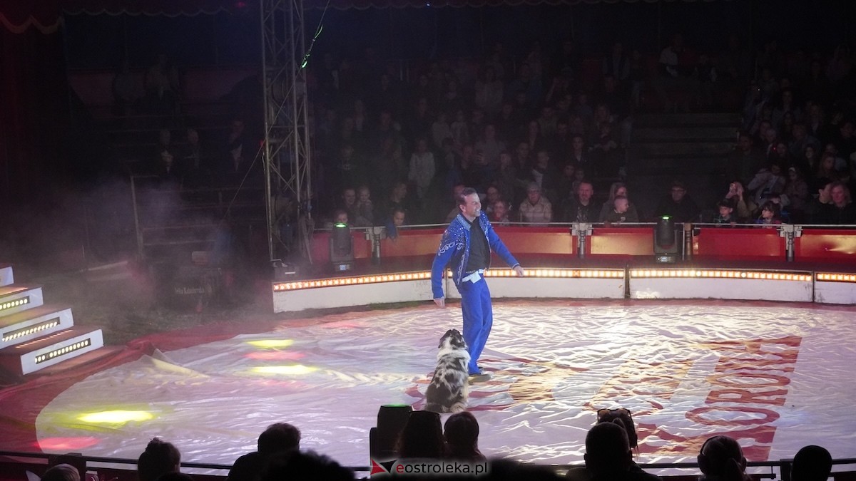 Akrobaci, iluzja i mnóstwo śmiechu. Cyrk Korona odwiedził Ostrołękę [22.04.2026] - zdjęcie #23 - eOstroleka.pl