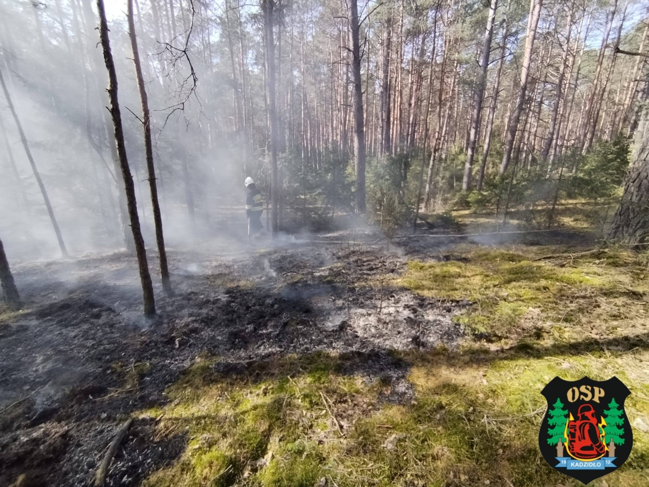 Plaga pożarów na nieużytkach rolnych [23.04.2026] - zdjęcie #5 - eOstroleka.pl