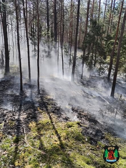 Plaga pożarów na nieużytkach rolnych [23.04.2026] - zdjęcie #4 - eOstroleka.pl