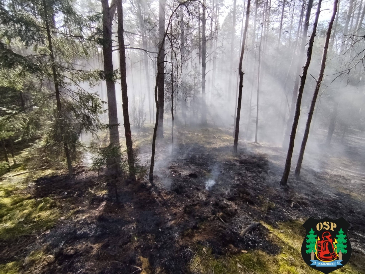 Plaga pożarów na nieużytkach rolnych [23.04.2026] - zdjęcie #3 - eOstroleka.pl
