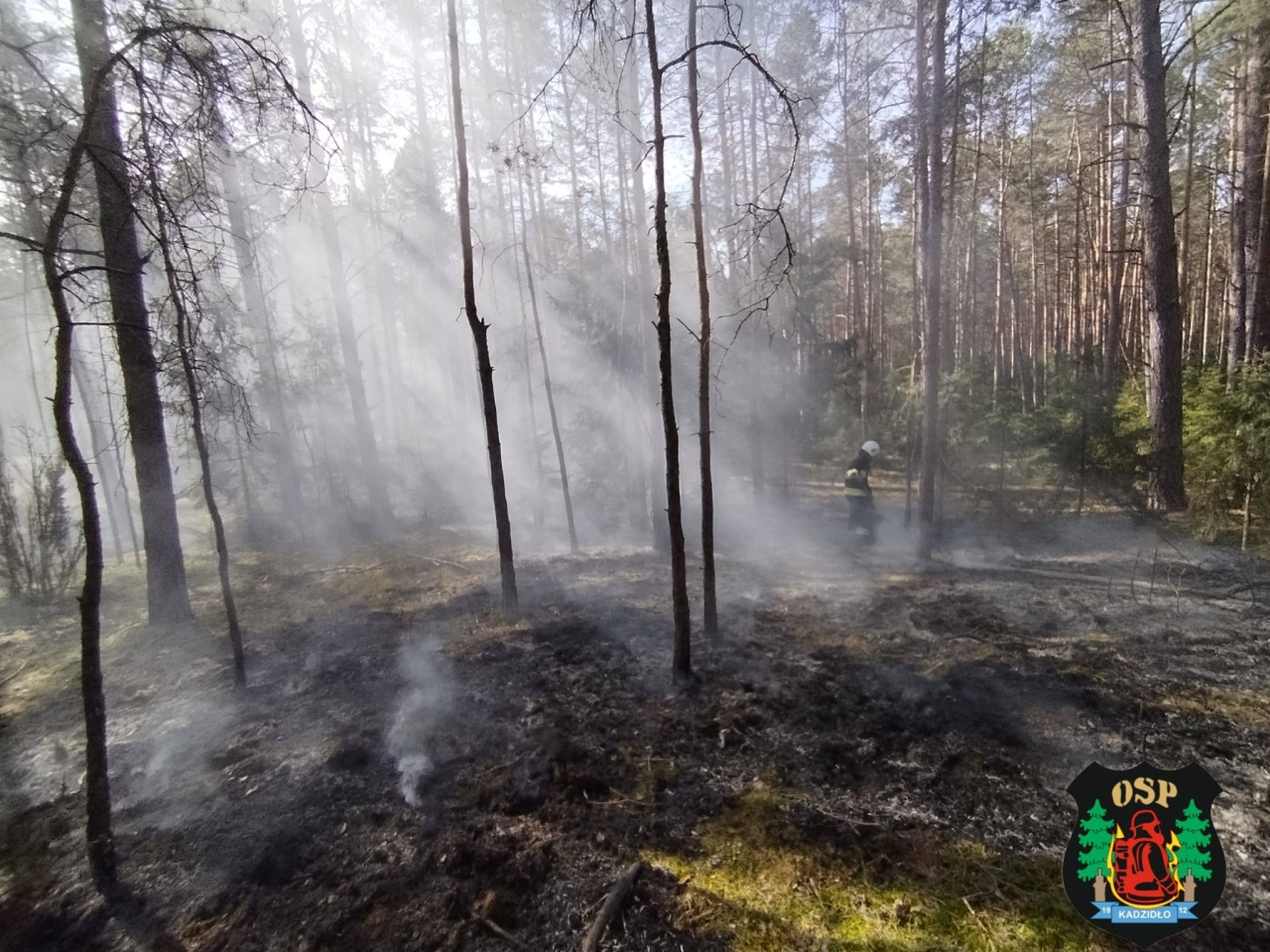 Plaga pożarów na nieużytkach rolnych [23.04.2026] - zdjęcie #2 - eOstroleka.pl