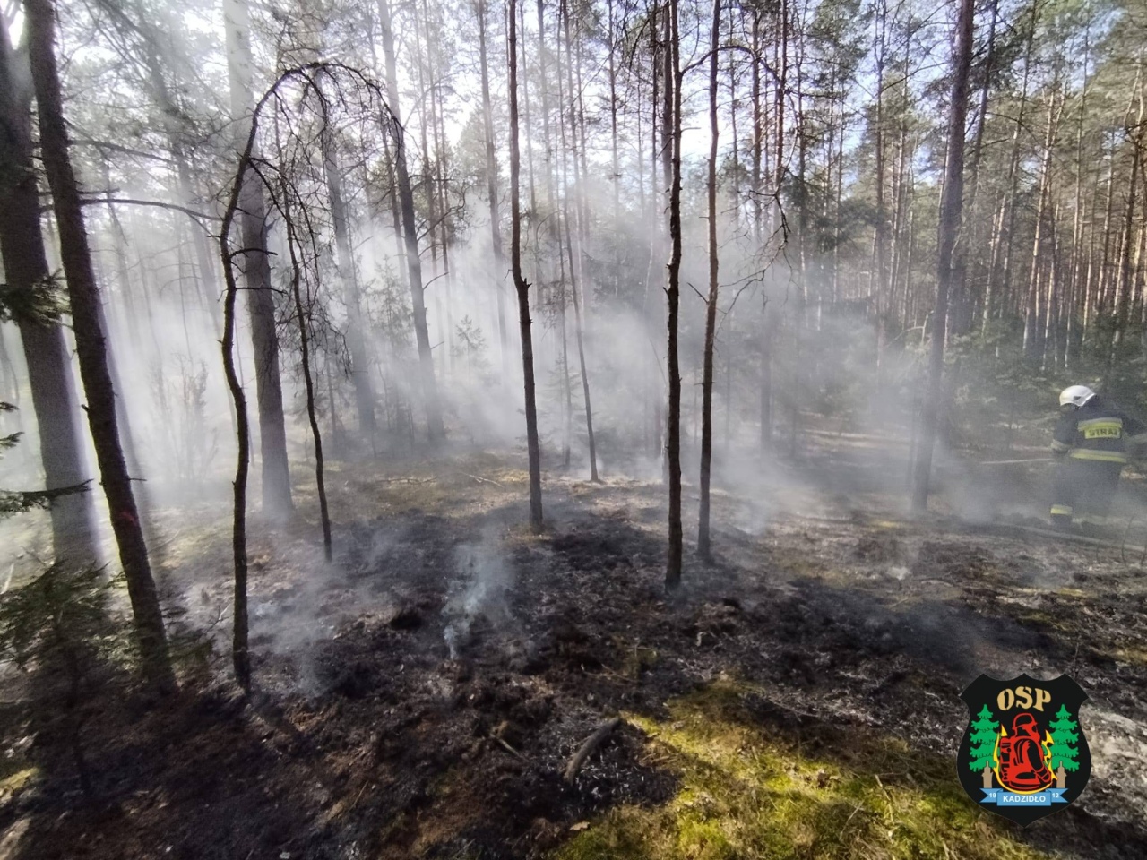 Plaga pożarów na nieużytkach rolnych [23.04.2026] - zdjęcie #1 - eOstroleka.pl