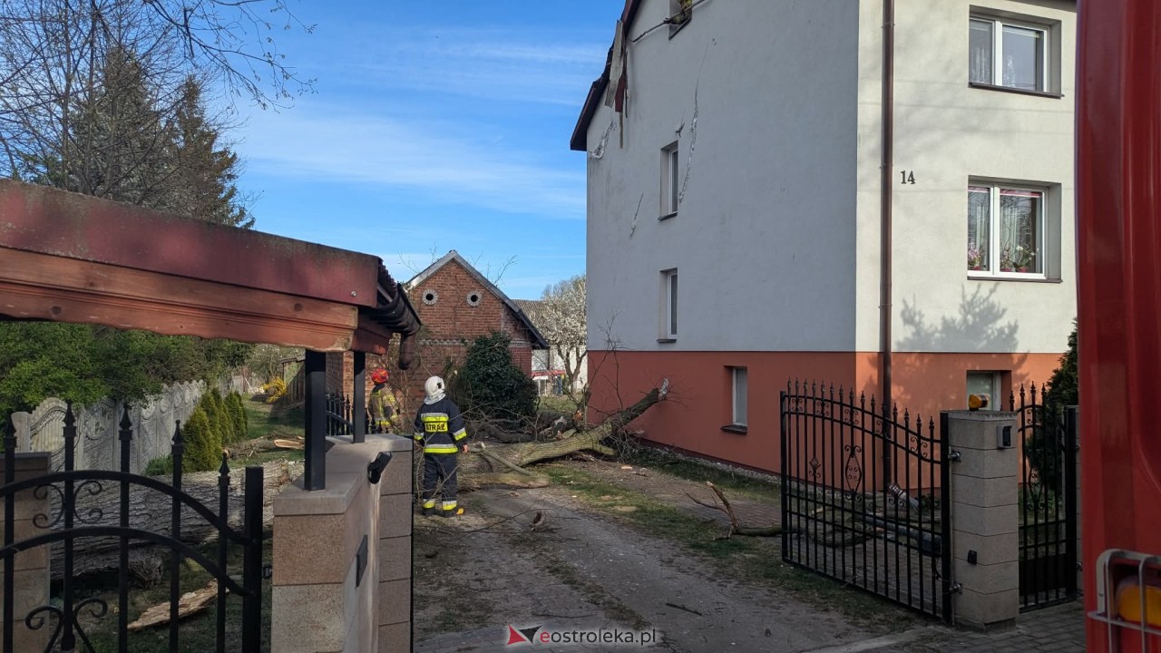 Drzewo runęło na dom w Grabowie [23.04.2026] - zdjęcie #17 - eOstroleka.pl