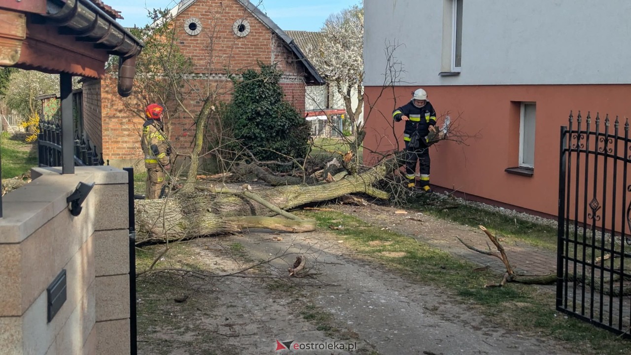 Drzewo runęło na dom w Grabowie [23.04.2026] - zdjęcie #16 - eOstroleka.pl