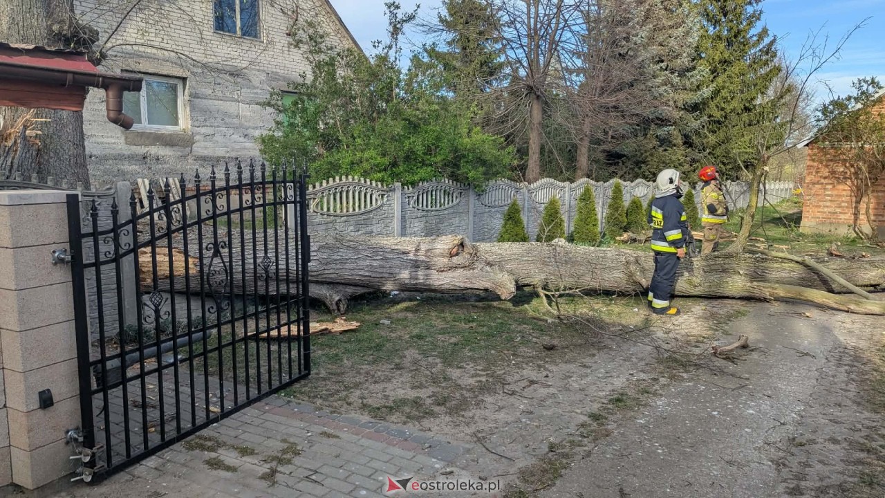 Drzewo runęło na dom w Grabowie [23.04.2026] - zdjęcie #11 - eOstroleka.pl