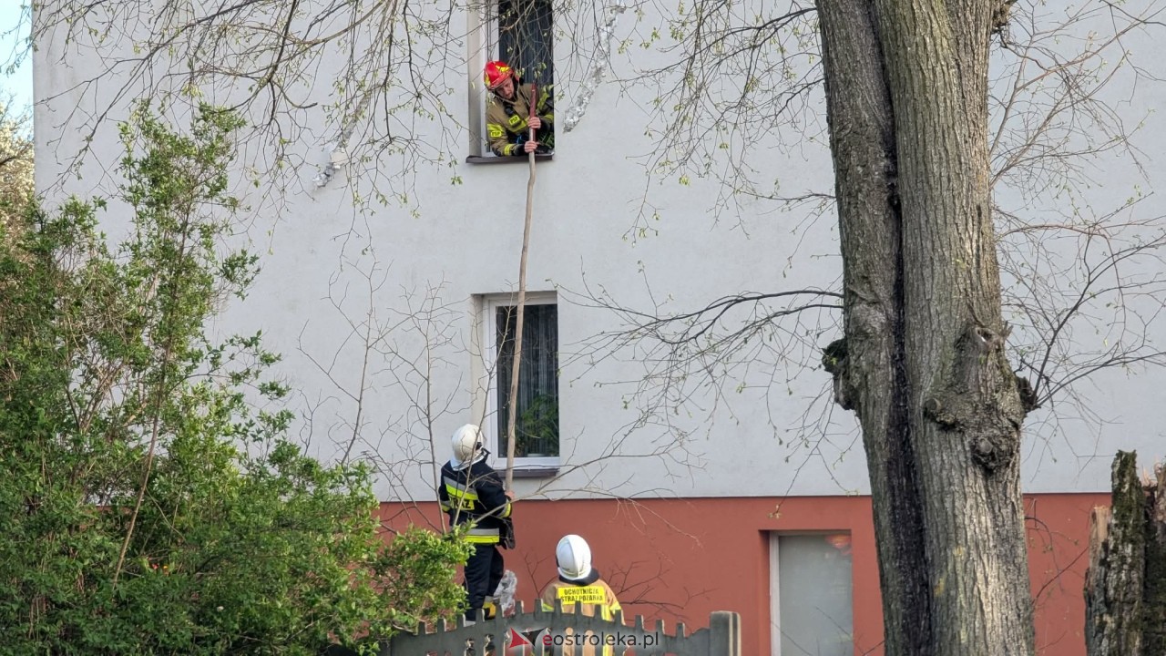 Drzewo runęło na dom w Grabowie [23.04.2026] - zdjęcie #9 - eOstroleka.pl