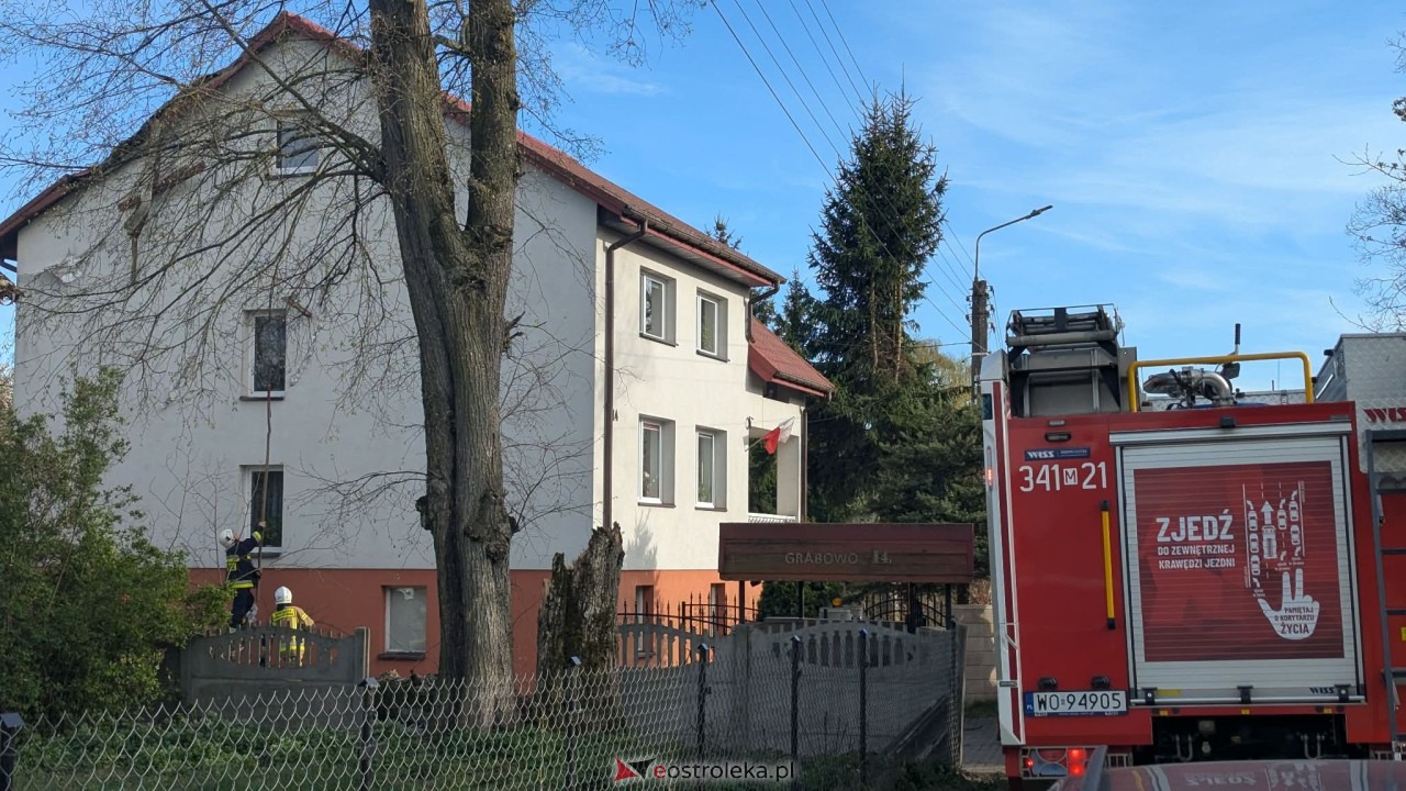 Drzewo runęło na dom w Grabowie [23.04.2026] - zdjęcie #7 - eOstroleka.pl