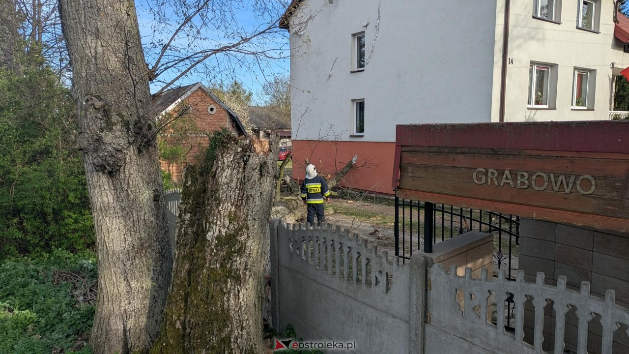 Drzewo runęło na dom w Grabowie [23.04.2026] - zdjęcie #6 - eOstroleka.pl