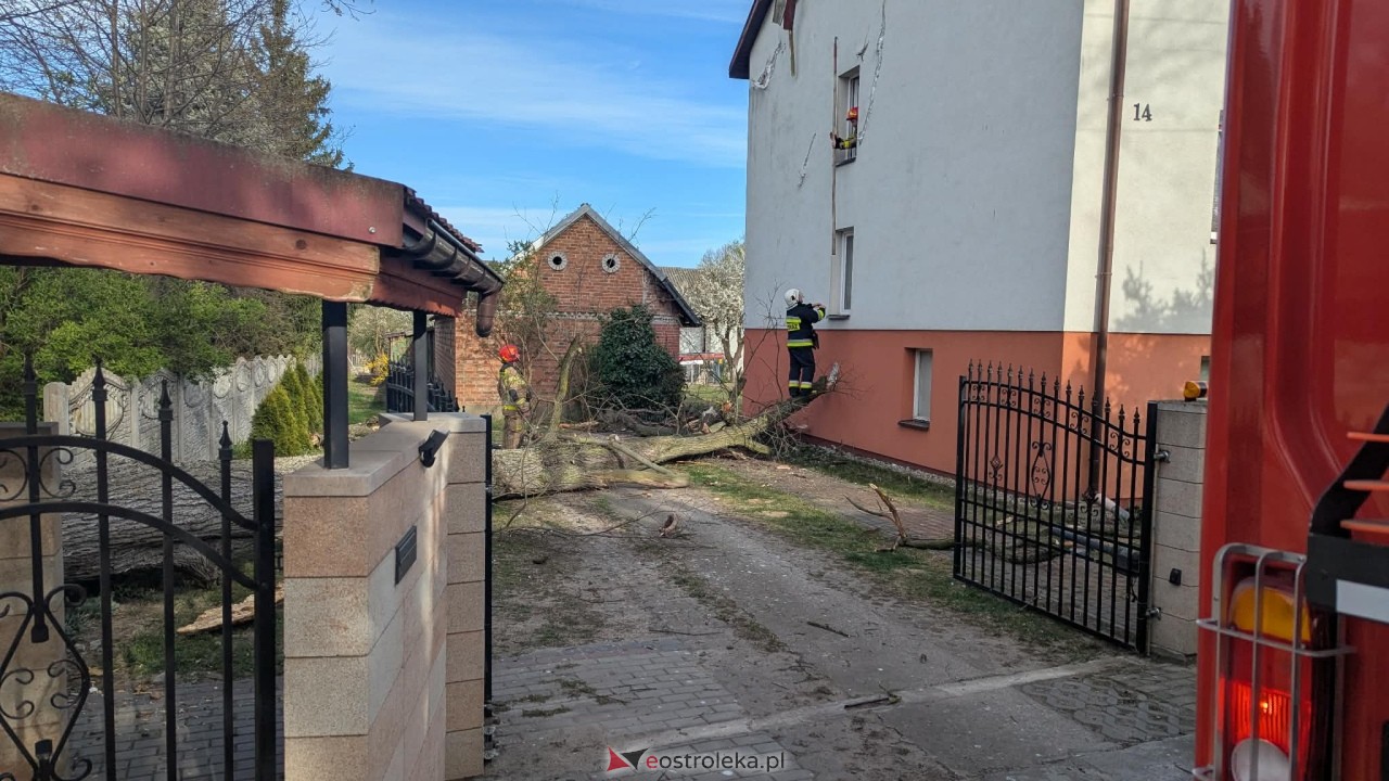 Drzewo runęło na dom w Grabowie [23.04.2026] - zdjęcie #5 - eOstroleka.pl