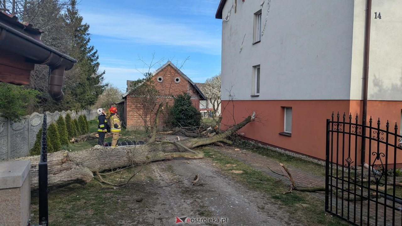 Drzewo runęło na dom w Grabowie [23.04.2026] - zdjęcie #3 - eOstroleka.pl