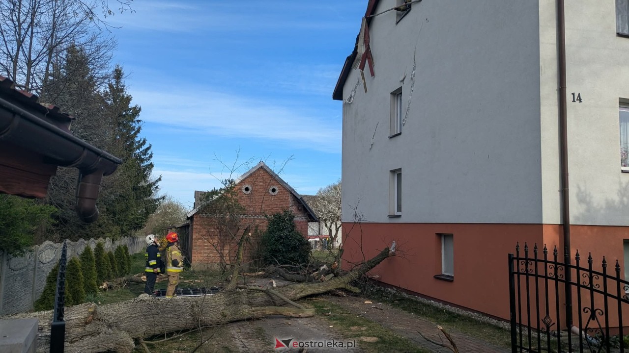 Drzewo runęło na dom w Grabowie [23.04.2026] - zdjęcie #2 - eOstroleka.pl