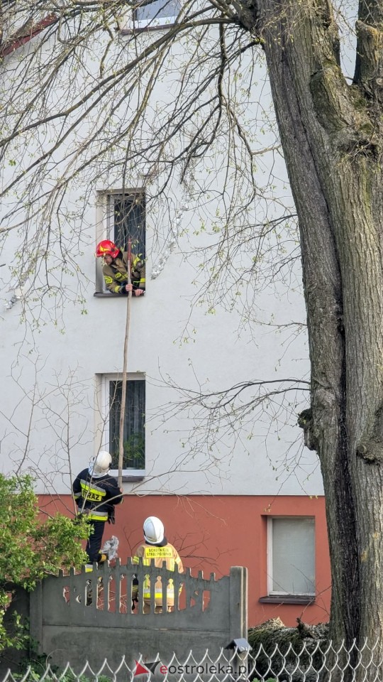 Drzewo runęło na dom w Grabowie [23.04.2026] - zdjęcie #1 - eOstroleka.pl