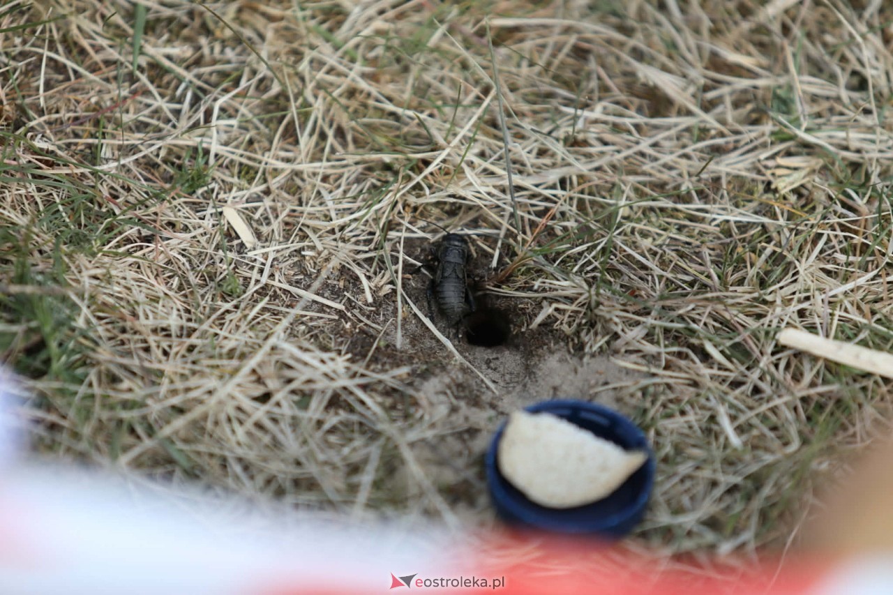 Jubileuszowe „Odmulanie Omulwi” [25.04.2026] - zdjęcie #50 - eOstroleka.pl