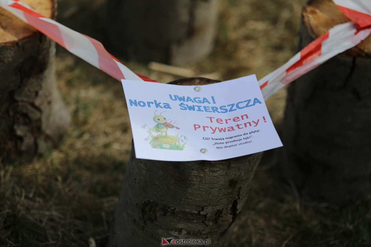 Jubileuszowe „Odmulanie Omulwi” [25.04.2026] - zdjęcie #43 - eOstroleka.pl