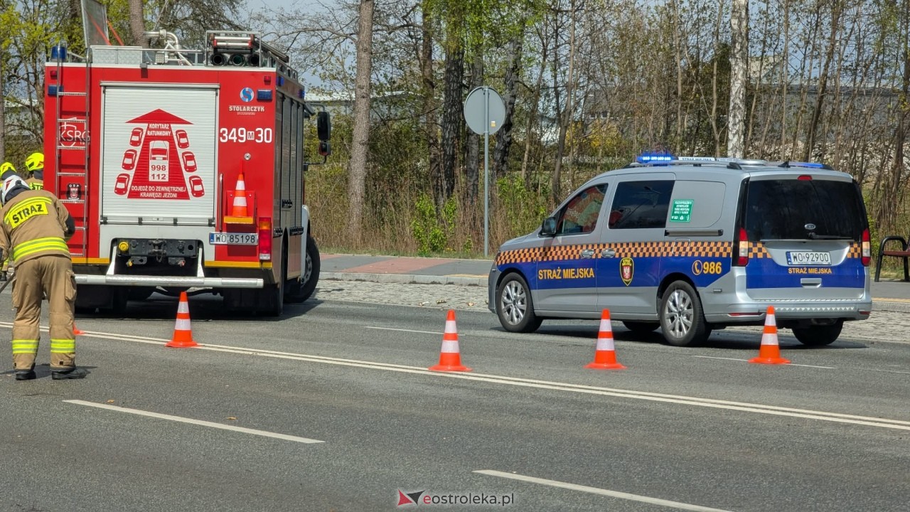 Powalone drzewo na ul. Ostrowskiej w Ostrołęce [26.04.2026] - zdjęcie #8 - eOstroleka.pl