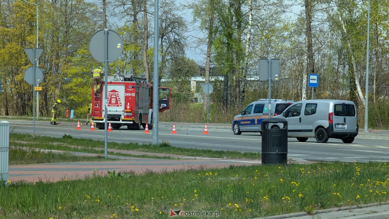 Powalone drzewo na ul. Ostrowskiej w Ostrołęce [26.04.2026] - zdjęcie #4 - eOstroleka.pl