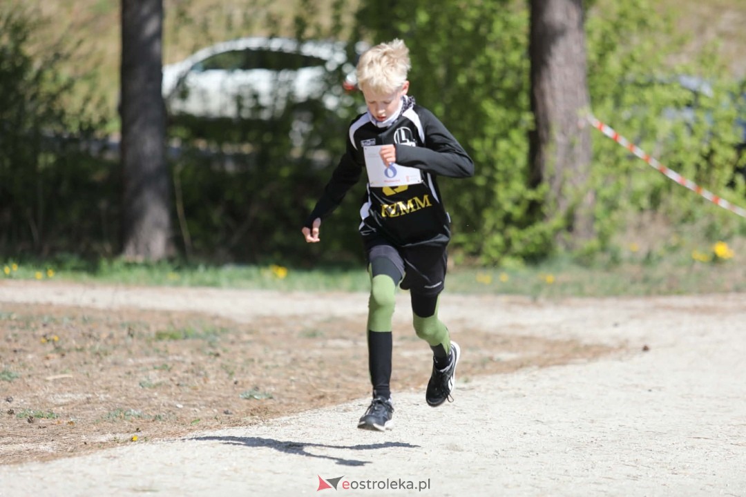 XI Bieg Szalonego Kurpsia [26.04.2026] - zdjęcie #114 - eOstroleka.pl