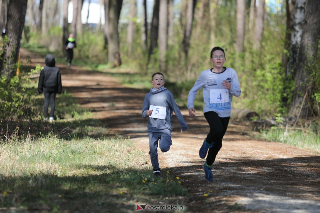 XI Bieg Szalonego Kurpsia [26.04.2026] - zdjęcie #107 - eOstroleka.pl