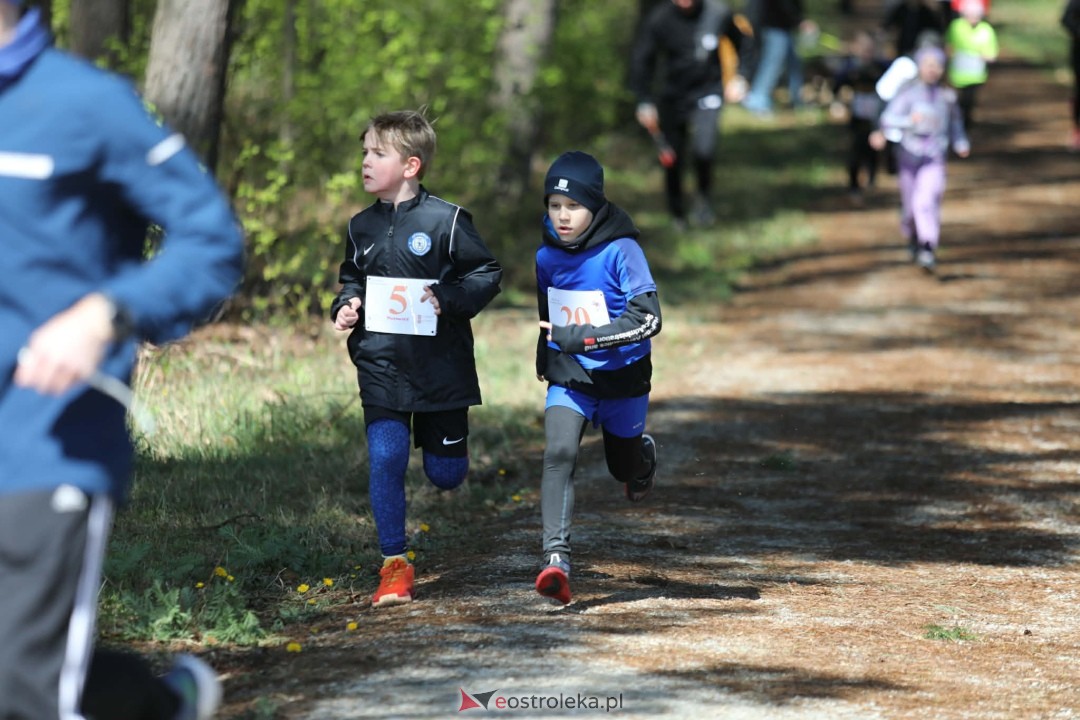 XI Bieg Szalonego Kurpsia [26.04.2026] - zdjęcie #97 - eOstroleka.pl