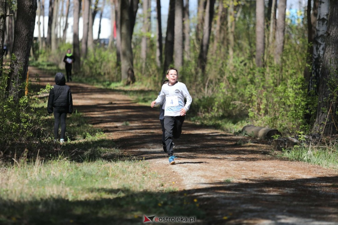 XI Bieg Szalonego Kurpsia [26.04.2026] - zdjęcie #94 - eOstroleka.pl