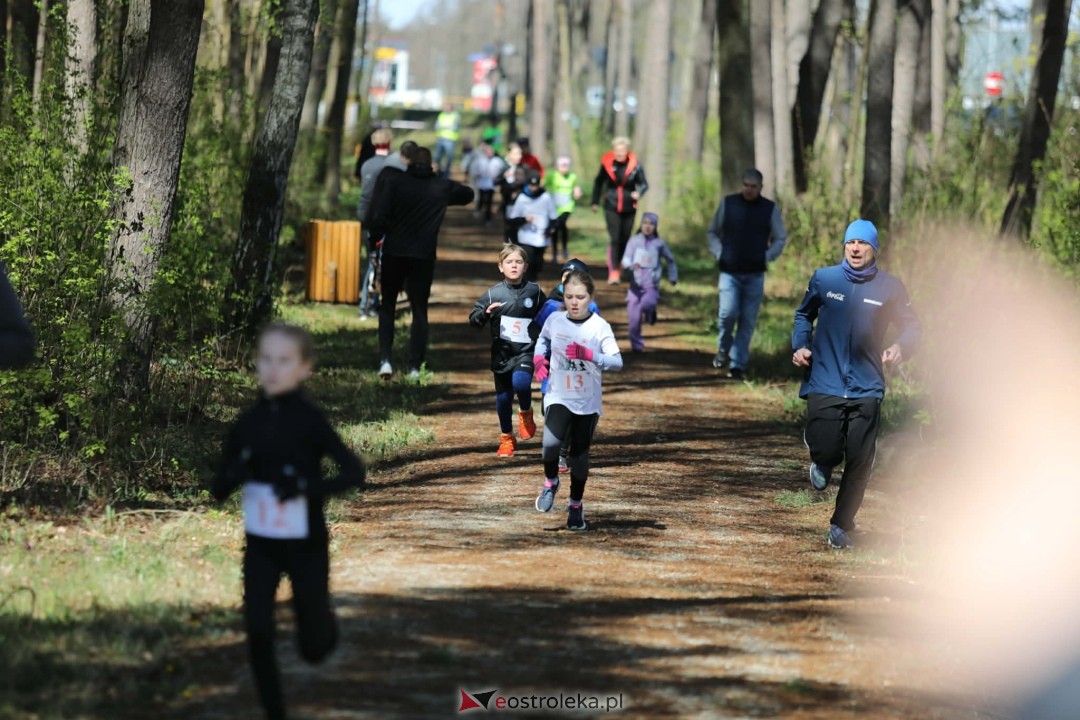 XI Bieg Szalonego Kurpsia [26.04.2026] - zdjęcie #89 - eOstroleka.pl