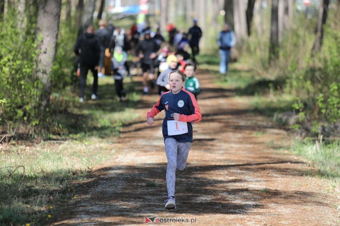 XI Bieg Szalonego Kurpsia [26.04.2026] - zdjęcie #84 - eOstroleka.pl