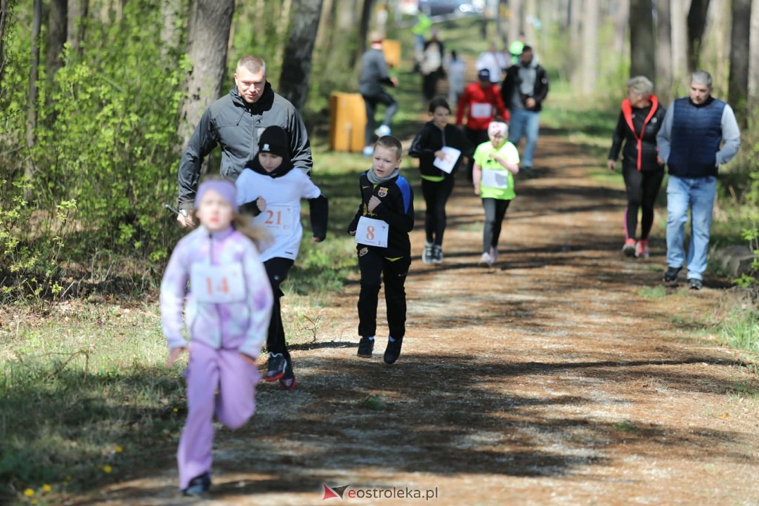 XI Bieg Szalonego Kurpsia [26.04.2026] - zdjęcie #82 - eOstroleka.pl