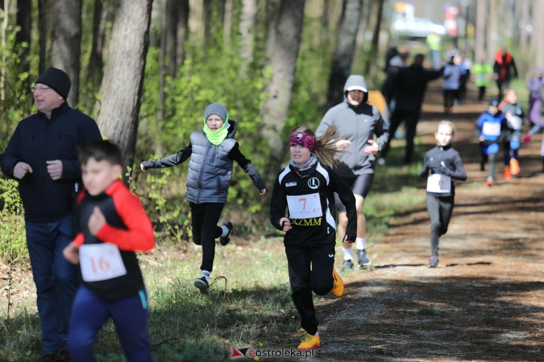 XI Bieg Szalonego Kurpsia [26.04.2026] - zdjęcie #76 - eOstroleka.pl