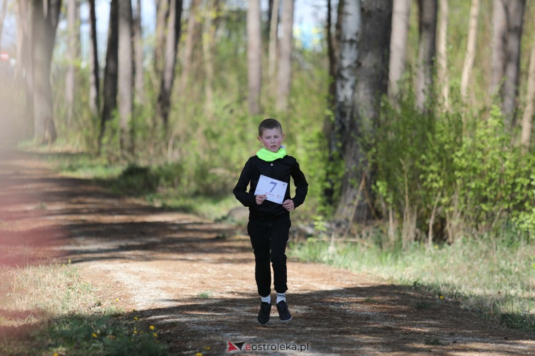 XI Bieg Szalonego Kurpsia [26.04.2026] - zdjęcie #64 - eOstroleka.pl
