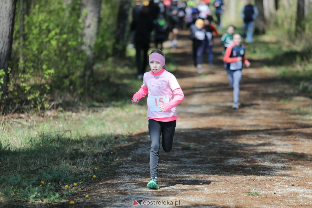 XI Bieg Szalonego Kurpsia [26.04.2026] - zdjęcie #43 - eOstroleka.pl