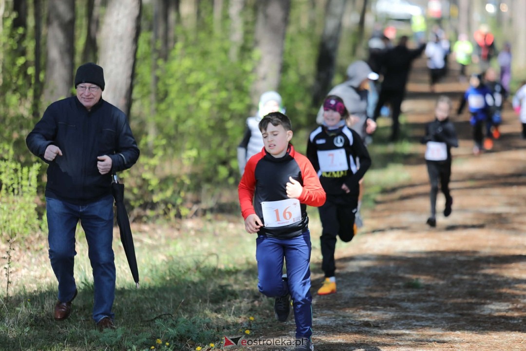 XI Bieg Szalonego Kurpsia [26.04.2026] - zdjęcie #40 - eOstroleka.pl