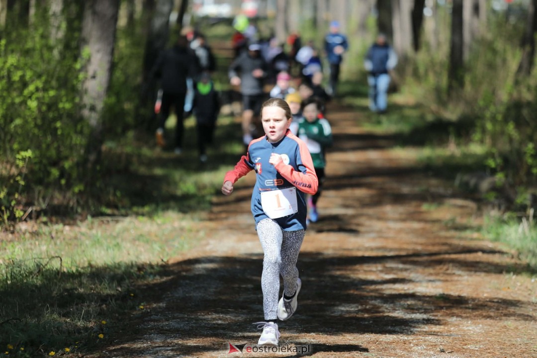 XI Bieg Szalonego Kurpsia [26.04.2026] - zdjęcie #38 - eOstroleka.pl